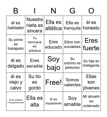 Describing people with SER Bingo Card