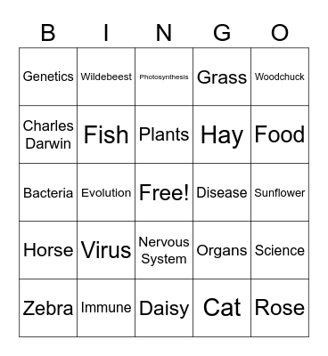 Plants vs Animals Bingo Card