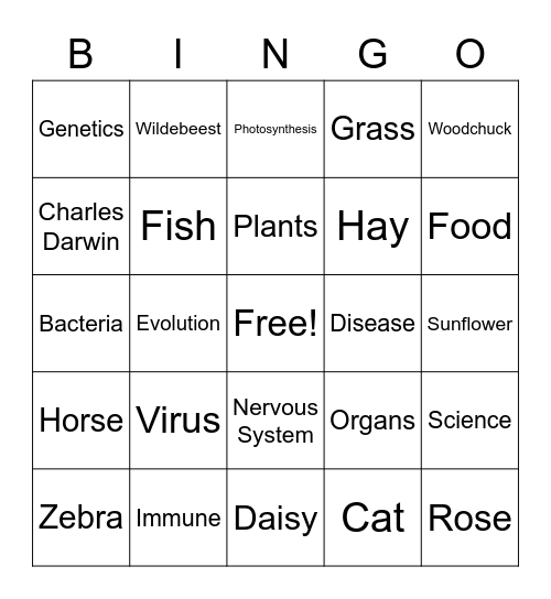 Plants vs Animals Bingo Card