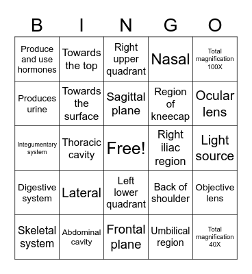 BIO 141 Rappahannock CC Introduction to A & P Bingo Card