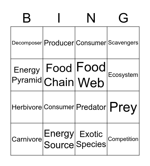 Food Webs & Chains Bingo Card