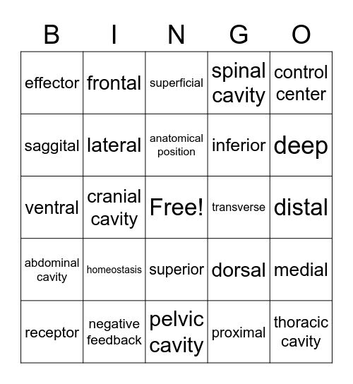 Marieb Chapter One Bingo Card