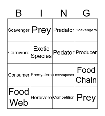 Food Webs & Food Chains Bingo Card