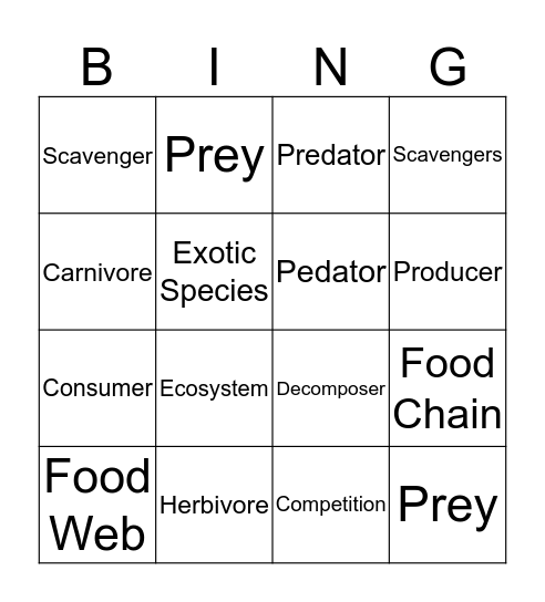 Food Webs & Food Chains Bingo Card