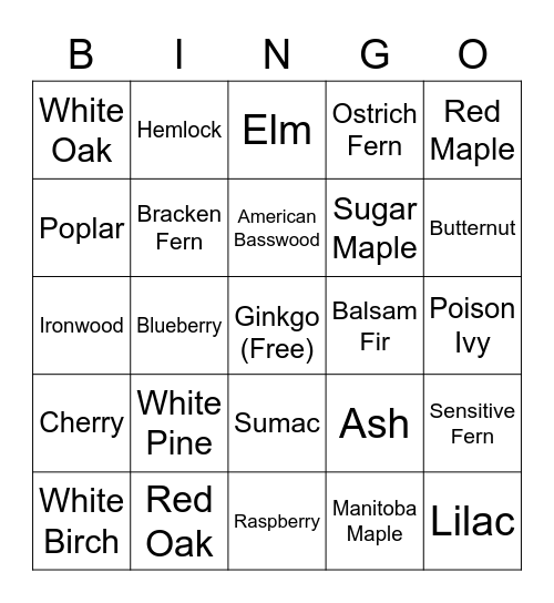 Ginkgo! Bingo Card