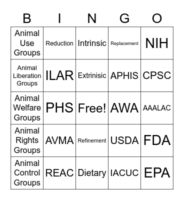 Chapter 1 Bingo Card