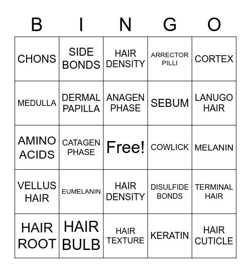 HAIR STRUCTURE Bingo Card