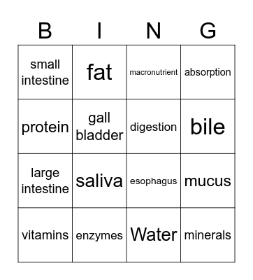 Digestive System Bingo Card