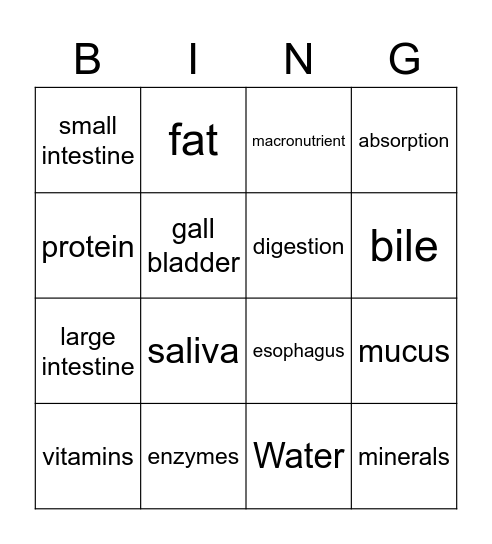 Digestive System Bingo Card