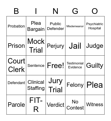 Court Competency Bingo Card