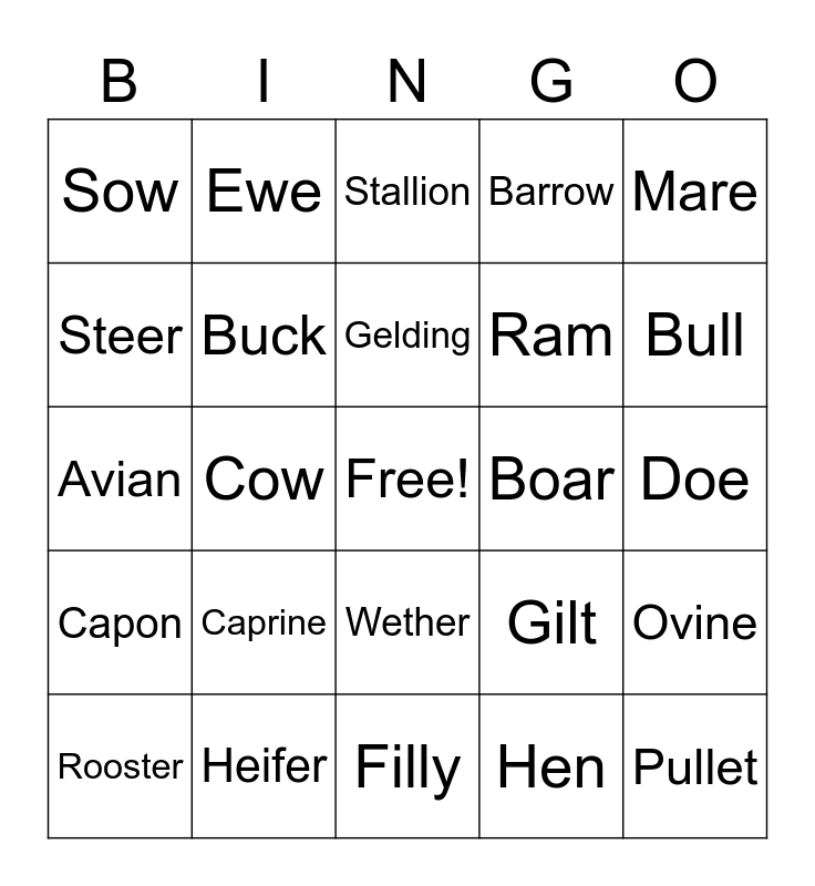 Livestock Classification Bingo Card