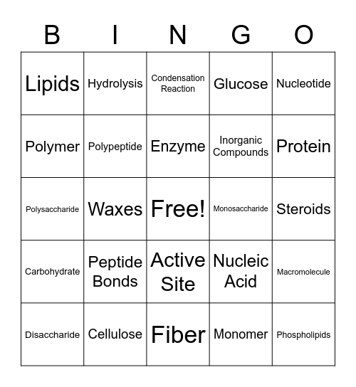 Biomolecules BINGO 2 Bingo Card