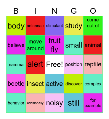 Bug's sleep Bingo Card