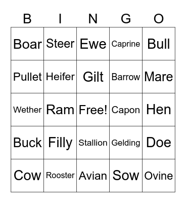 Animal Science Bingo Card