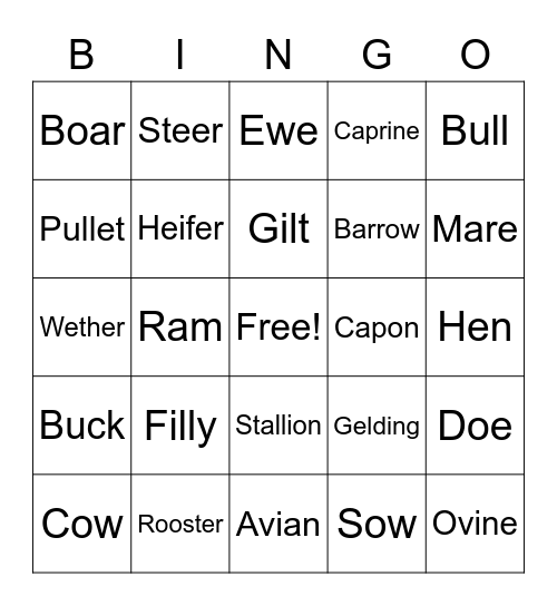 Animal Science Bingo Card