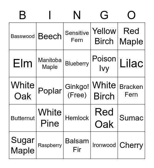 Ginkgo Bingo Card