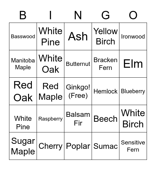 Ginkgo Bingo Card