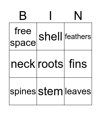 Vocabulary Bingo Card