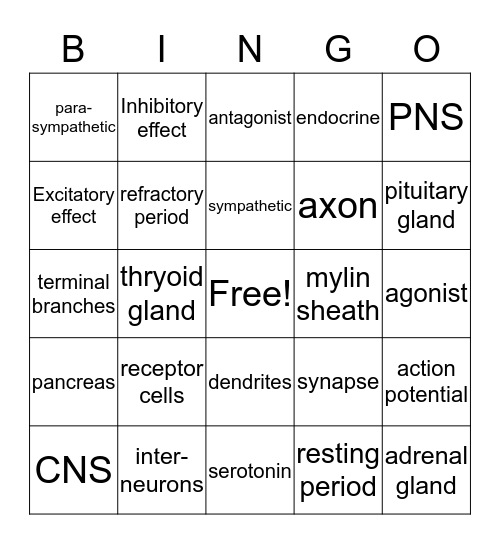 Nervous  System Bingo Card