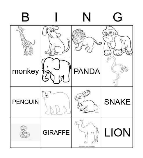 Animals Zoo and Pets Bingo Card