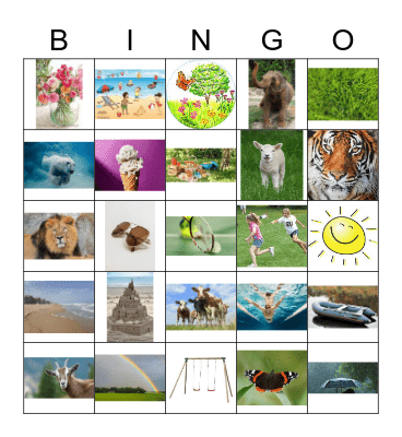 Zomer Bingo Card