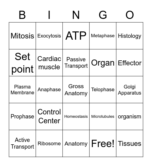 Anatomy Module 1 Bingo Card