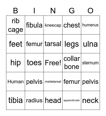 Skeletal System Bingo Card