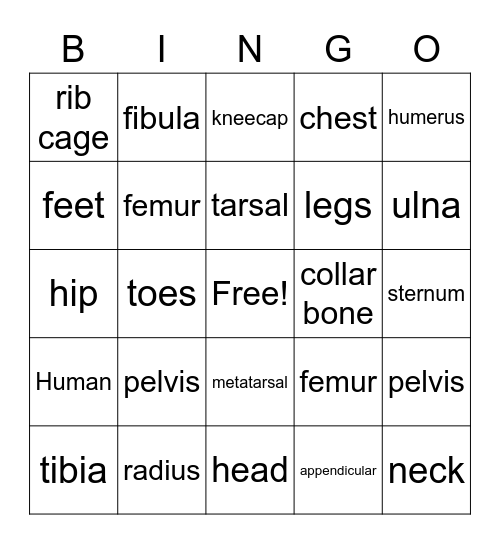 Skeletal System Bingo Card