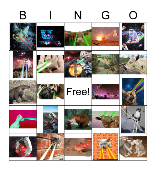 Lasers Animals! Bingo Card