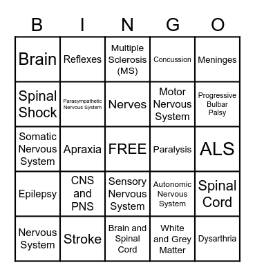 Nervous System Review Bingo Card