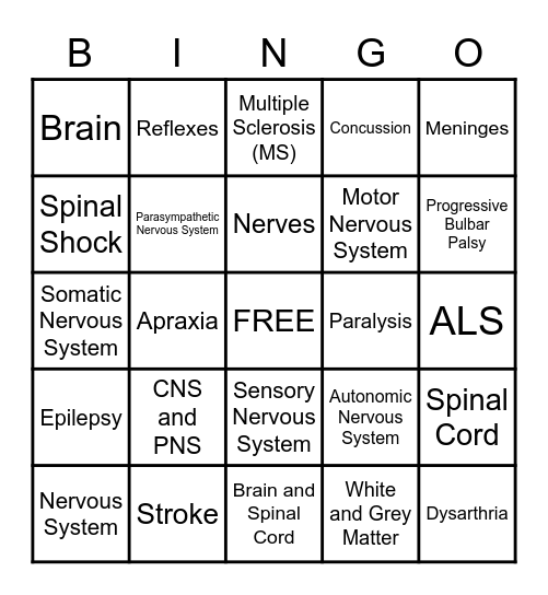 Nervous System Review Bingo Card