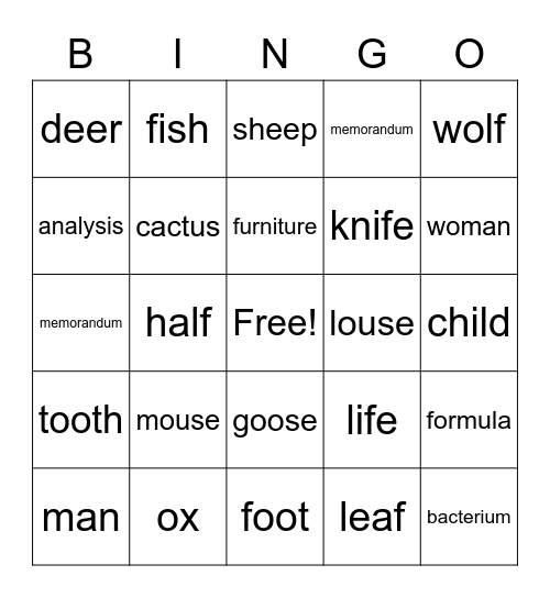 Irregular Nouns Bingo Card