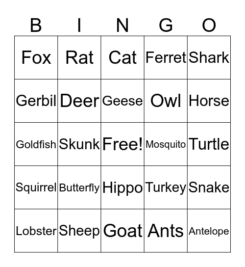 Animals Bingo Card