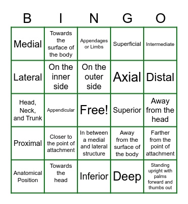 Anatomical Bingo Card