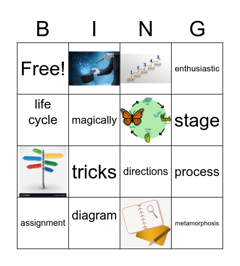 The homework machine Bingo Card