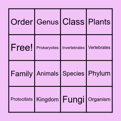 Classification BINGO Card