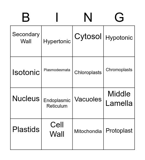 C Bingo Card