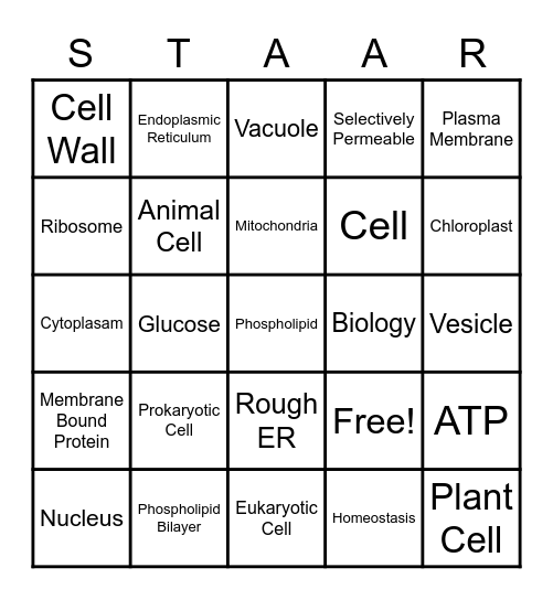 Cell Parts Review Bingo Card