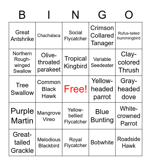 Bird Bingo Card