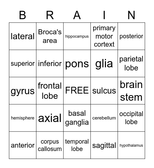 Duke Psy 101 Brain Bingo Card
