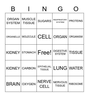 BODY STRUCTURES Bingo Card