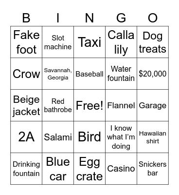 Ace Ventura Video Bingo Card