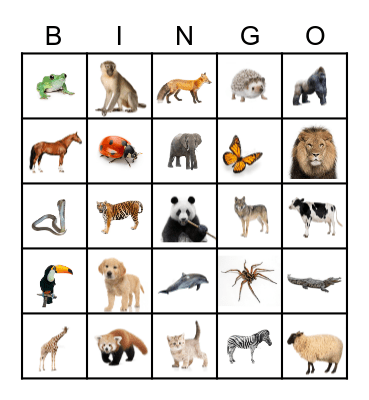 Animal Bingo! Bingo Card