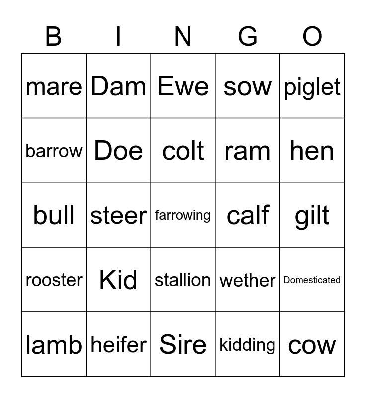 livestock-terminology-bingo-card