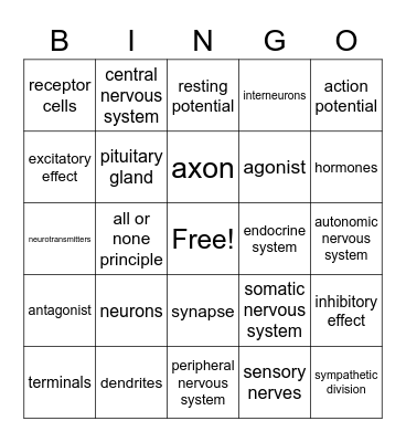 Biopsychology Bingo Card