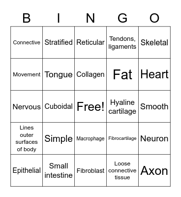 BIO Tissues Rappahannock CC Bingo Card