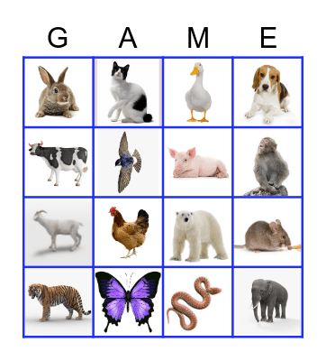 ANIMAL BINGO Card
