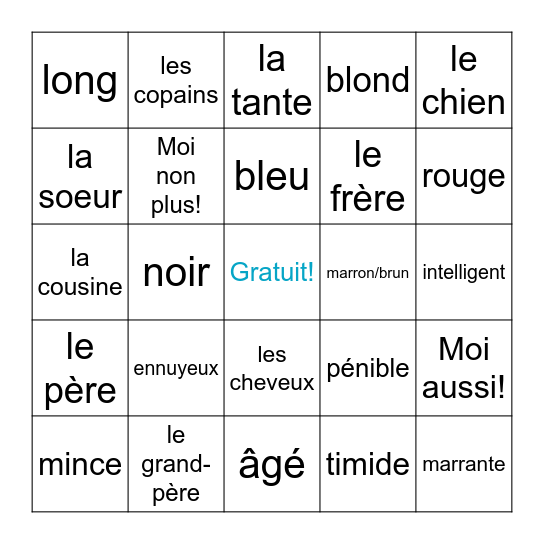 Bien Dit 2 Chapter 1 Vocabulary 1 Loto Bingo Card