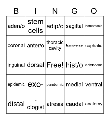 Chapter 2 Bingo Card