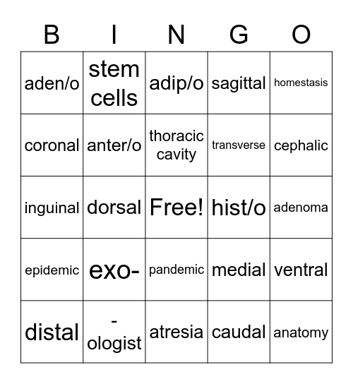 Chapter 2 Bingo Card